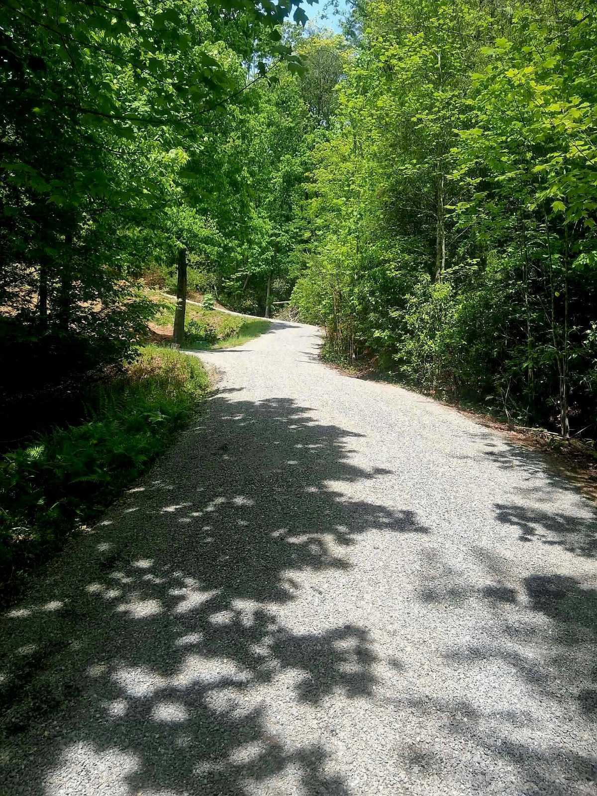 Freshly chip-sealed driveway — Cherokee County, NC